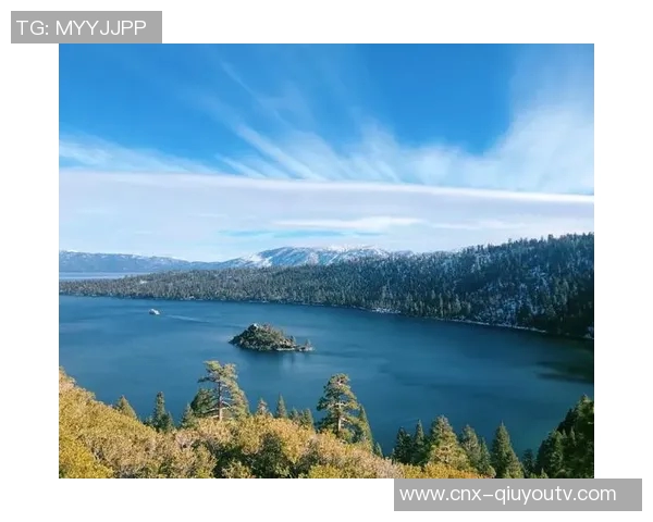 斑马与狼的生存之战:草原上的智慧与勇气较量 斑马与狼的生存之战:草原上的智慧与勇气较量